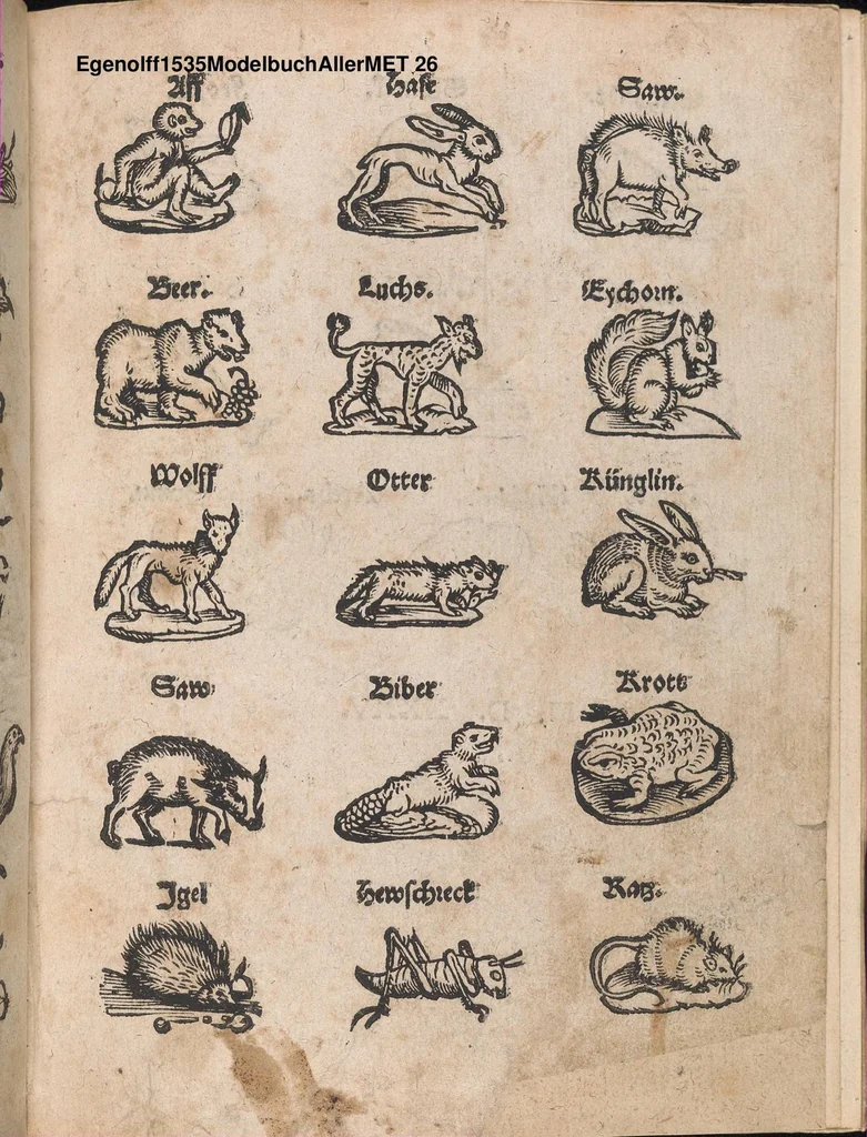An illustration from Modelbuch aller art nehens und stickens, 1535, leaf 25