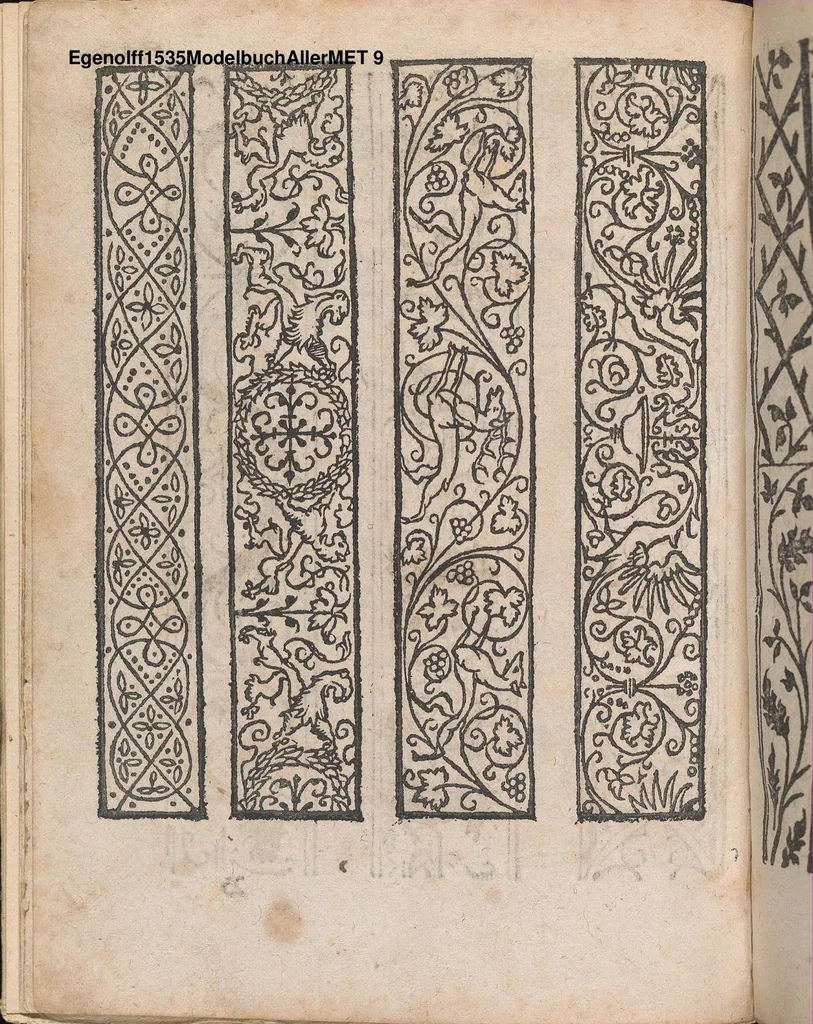 An illustration from Modelbuch aller art nehens und stickens, 1535, leaf 8