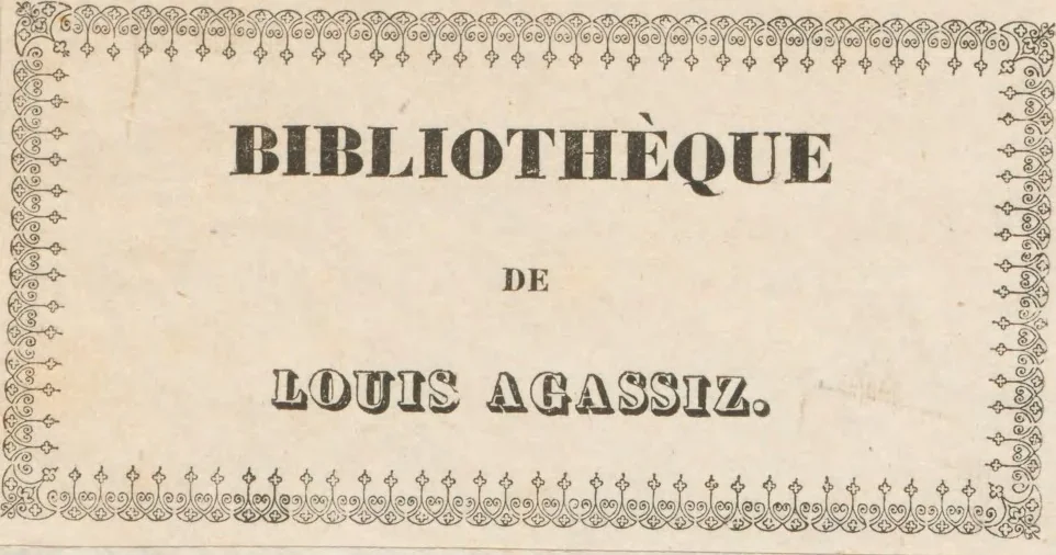 An illustration from Erläuterungstafeln zur vergleichenden Anatomie, 1826, leaf 1