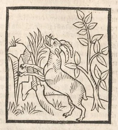 An illustration from [Arbolayre :] Le grant herbier en françois, leaf 236