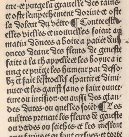 An illustration from Arbolayre contenant la qualitey et virtus, proprietey des herbes, arbres, gommes et semences…, leaf 235