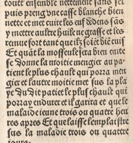 An illustration from Arbolayre contenant la qualitey et virtus, proprietey des herbes, arbres, gommes et semences…, leaf 334