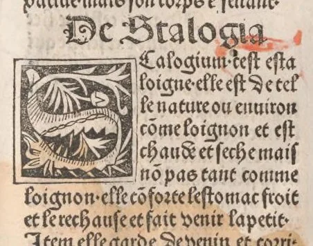 An illustration from Arbolayre contenant la qualitey et virtus, proprietey des herbes, arbres, gommes et semences…, leaf 403