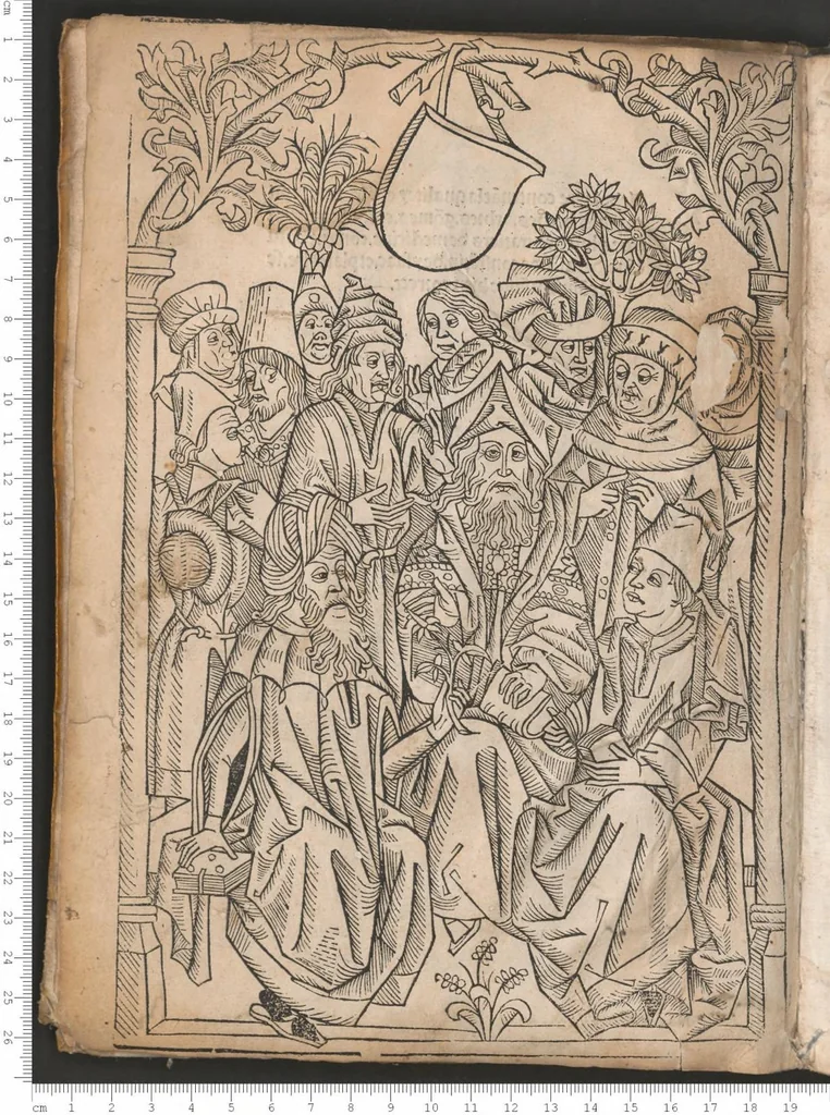 An illustration from Arbolayre contenant la qualitey et virtus, proprietey des herbes, arbres, gommes et semences…, leaf 7