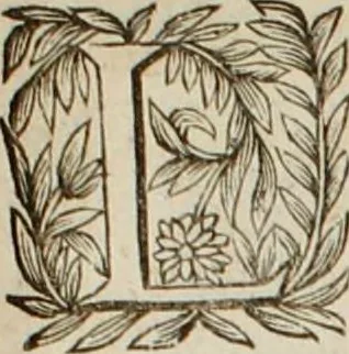 An illustration from Au roy et à nosseigneurs de son conseil, Sire, Jean Bourgoin, 1629, leaf 12