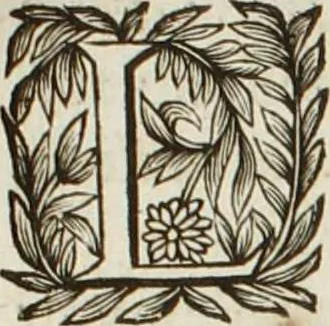 An illustration from Au roy et à nosseigneurs de son conseil, Sire, Jean Bourgoin, 1629, leaf 2