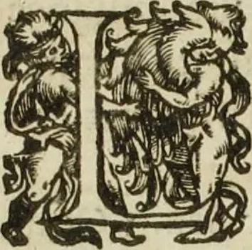 An illustration from Au roy et à nosseigneurs de son conseil, Sire, Jean Bourgoin, 1629, leaf 21