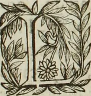 An illustration from Au roy et à nosseigneurs de son conseil, Sire, Jean Bourgoin, 1629, leaf 30