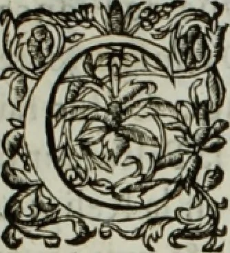 An illustration from Troisième requeste du Théologal de Séez [Jean Le Noir]... contre... l'Evesque de Séez [François Rouxel de Médavy] [1670], 1670, leaf 10