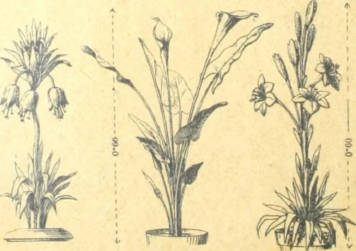 An illustration from Fabrique d'ornements en zinc : cuivre, plomb, tole, pour le batiment : execution d'apres dessins, 1910, leaf 127
