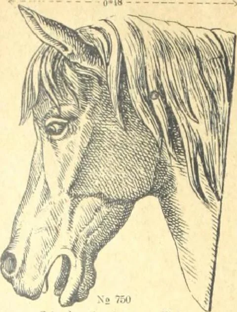 An illustration from Fabrique d'ornements en zinc : cuivre, plomb, tole, pour le batiment : execution d'apres dessins, 1910, leaf 145