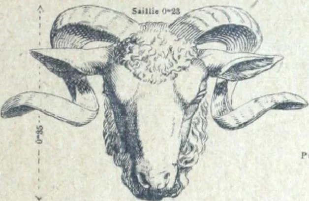 An illustration from Fabrique d'ornements en zinc : cuivre, plomb, tole, pour le batiment : execution d'apres dessins, 1910, leaf 146