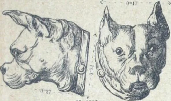 An illustration from Fabrique d'ornements en zinc : cuivre, plomb, tole, pour le batiment : execution d'apres dessins, 1910, leaf 148