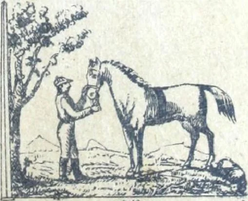 An illustration from Fabrique d'ornements en zinc : cuivre, plomb, tole, pour le batiment : execution d'apres dessins, 1910, leaf 80