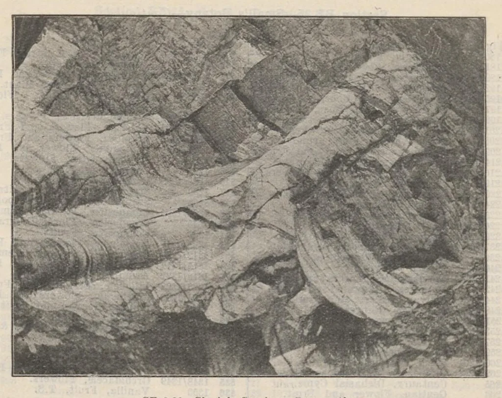 An illustration from Lantern Slides illustrating Zoology, Botany, Geology, Astronomy, Textiles, &c.: Catalogue E., 1924, leaf 69