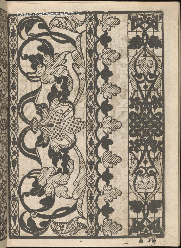 An illustration from Splendore delle virtuose giouani doue si contengono molte,varie mostre fogliami. Cioe punti in aere, et punti tagliati, bellissimi,..., 1564, leaf 13