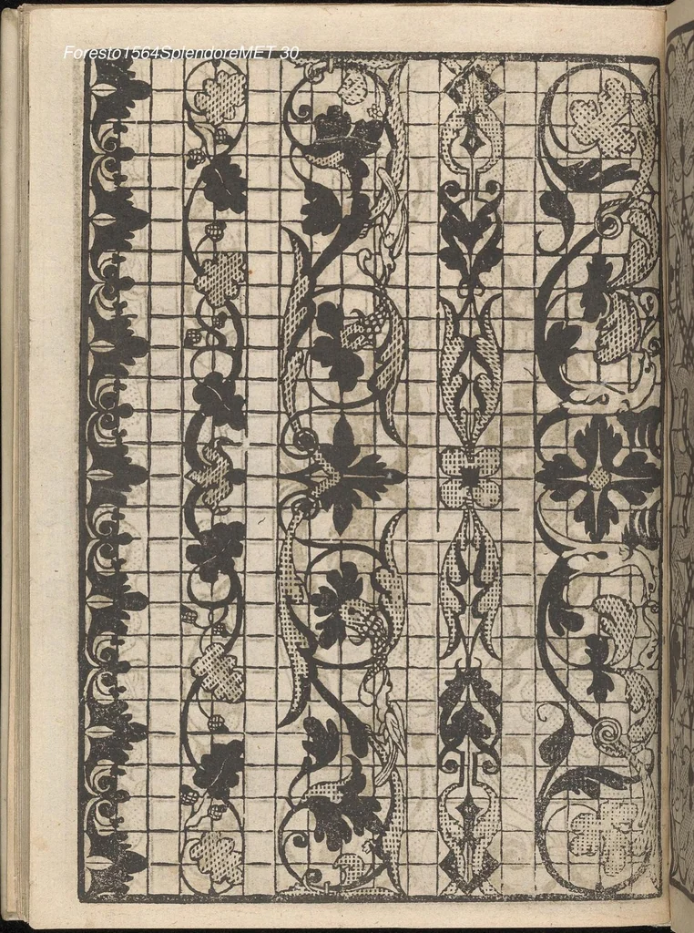 An illustration from Splendore delle virtuose giouani doue si contengono molte,varie mostre fogliami. Cioe punti in aere, et punti tagliati, bellissimi,..., 1564, leaf 29