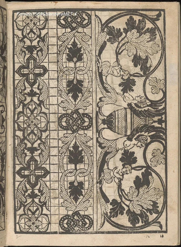 An illustration from Splendore delle virtuose giouani doue si contengono molte,varie mostre fogliami. Cioe punti in aere, et punti tagliati, bellissimi,..., 1564, leaf 3