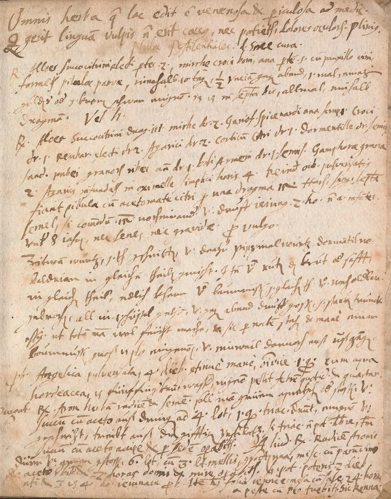 An illustration from Formula book [manuscript], [16--], 1600, leaf 127