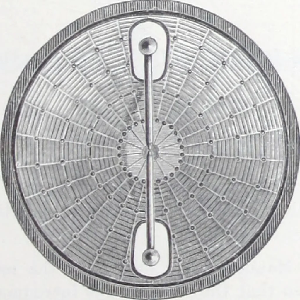 An illustration from Frink's patent reflectors for electric and combination fixtures : for lighting churches, halls, banks ..., 1898, leaf 42