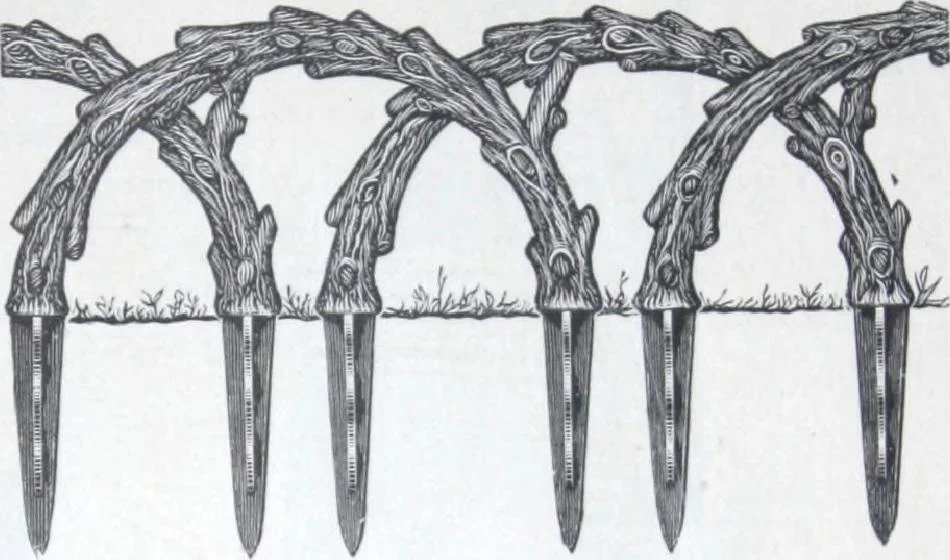An illustration from Garden, lawn, cemetery and park adornments. illustrated catalogue D with 1904 supplement., 1904, leaf 28