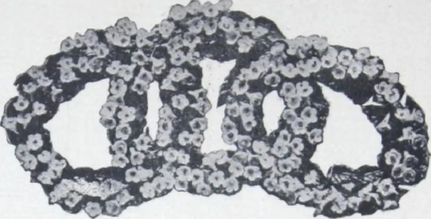 An illustration from Garden, lawn, cemetery and park adornments. illustrated catalogue D with 1904 supplement., 1904, leaf 36