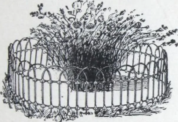 An illustration from Garden, lawn, cemetery and park adornments. illustrated catalogue D with 1904 supplement., 1904, leaf 48