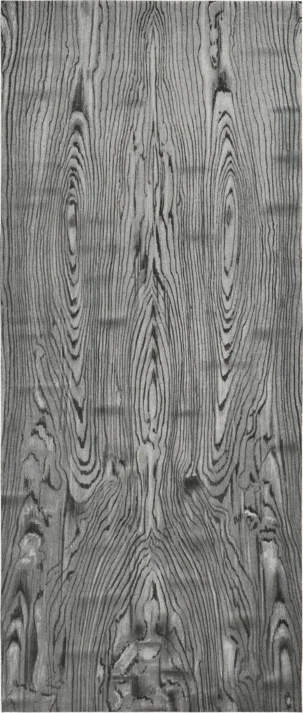 An illustration from General catalog 1911-1912, 1912, leaf 111