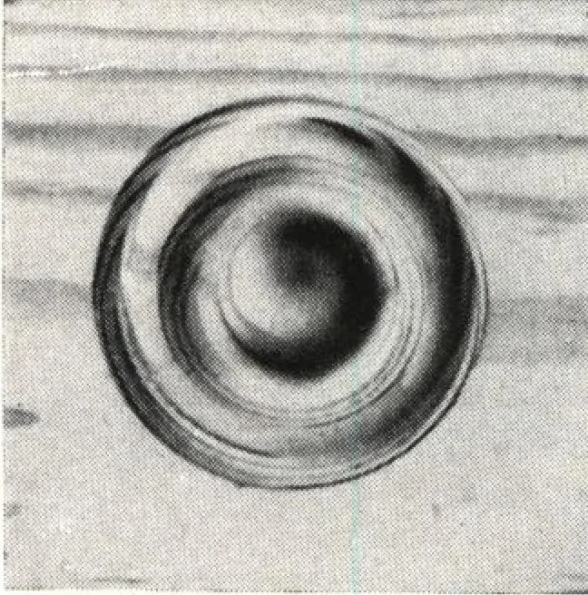 An illustration from General catalog 1911-1912, 1912, leaf 136