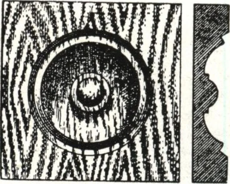An illustration from General catalog 1911-1912, 1912, leaf 137