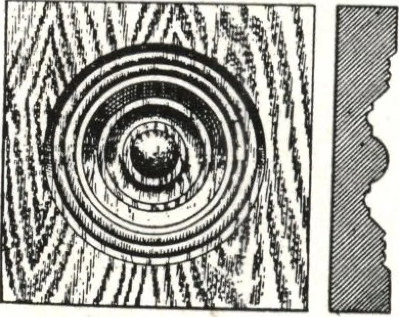 An illustration from General catalog 1911-1912, 1912, leaf 137