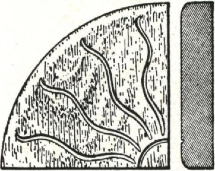 An illustration from General catalog 1911-1912, 1912, leaf 138