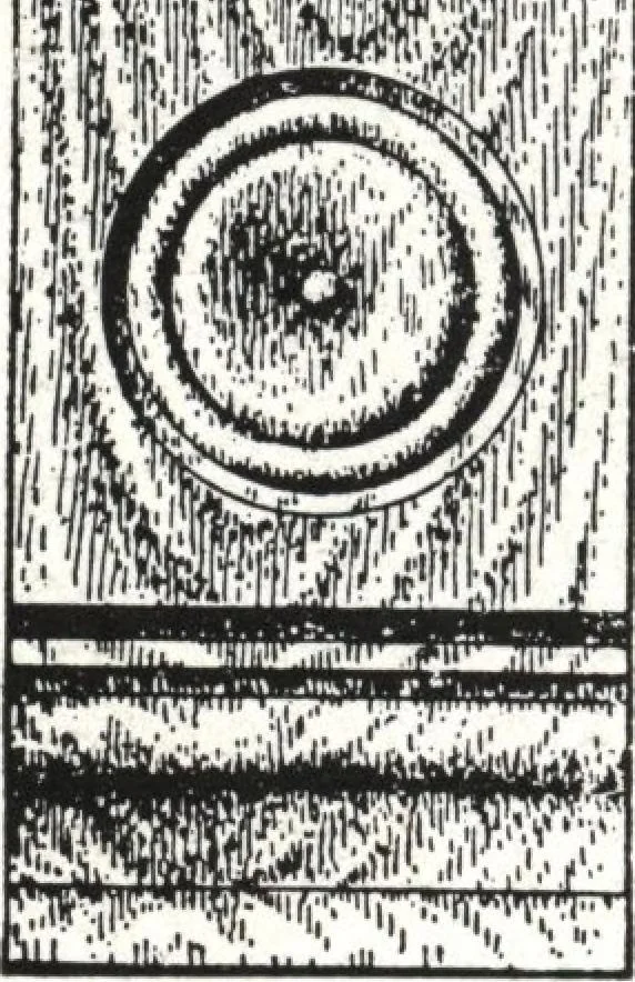 An illustration from General catalog 1911-1912, 1912, leaf 139