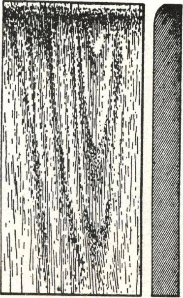 An illustration from General catalog 1911-1912, 1912, leaf 140