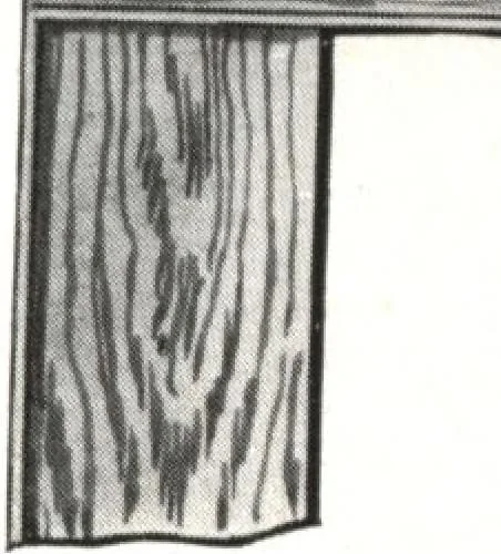 An illustration from General catalog 1911-1912, 1912, leaf 142