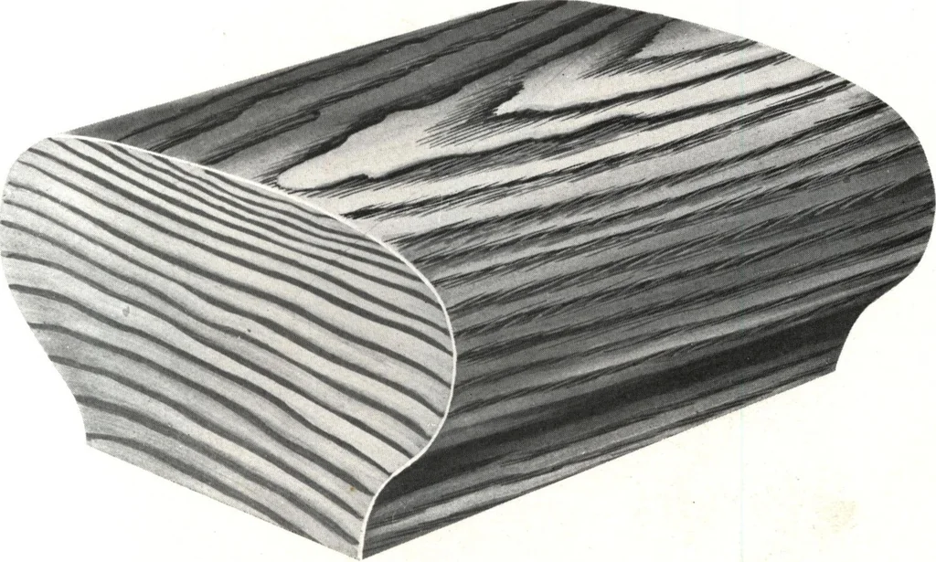An illustration from General catalog 1911-1912, 1912, leaf 158
