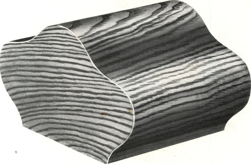 An illustration from General catalog 1911-1912, 1912, leaf 158