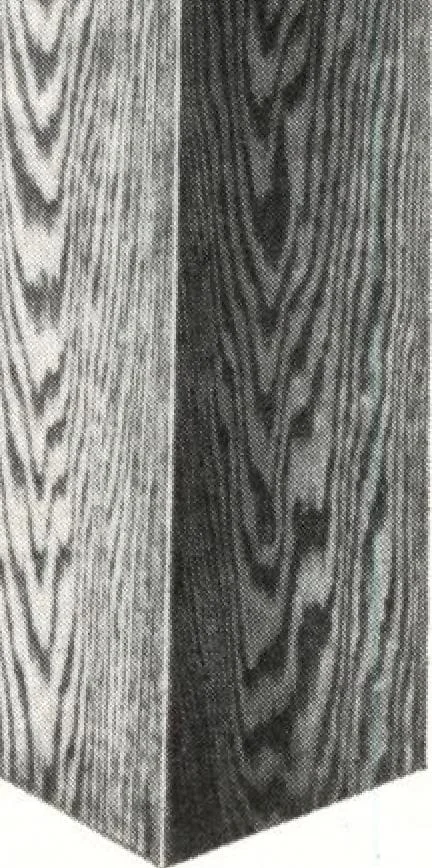 An illustration from General catalog 1911-1912, 1912, leaf 162