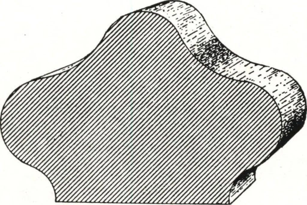 An illustration from General catalog 1911-1912, 1912, leaf 172