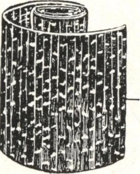 An illustration from General catalog 1911-1912, 1912, leaf 242