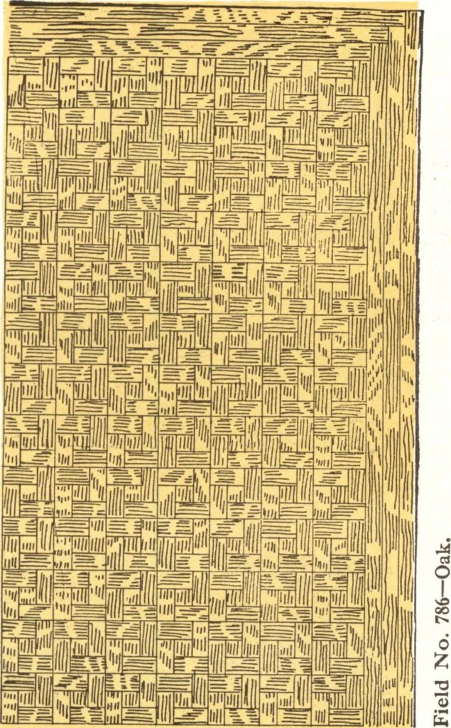 An illustration from General catalog 1911-1912, 1912, leaf 244