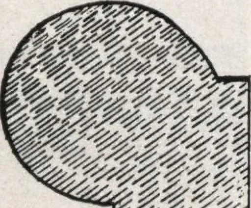 An illustration from General catalog 1911-1912, 1912, leaf 254