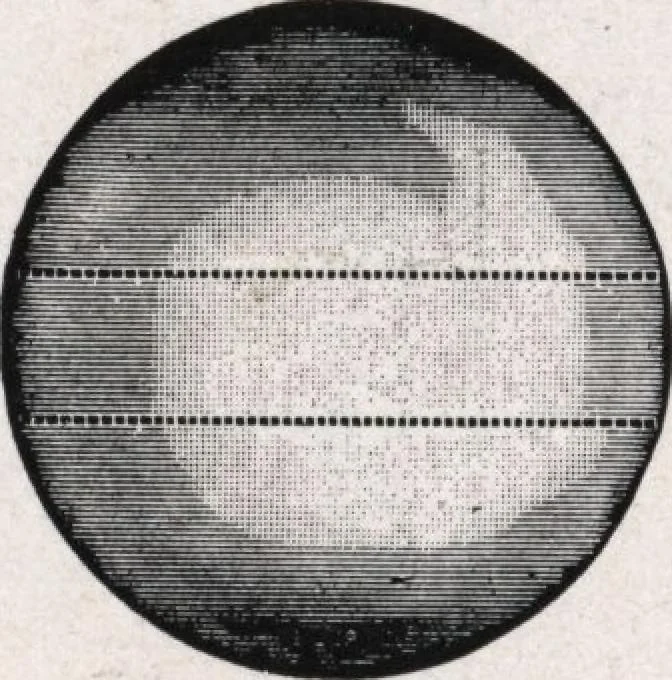 An illustration from General catalog 1911-1912, 1912, leaf 265