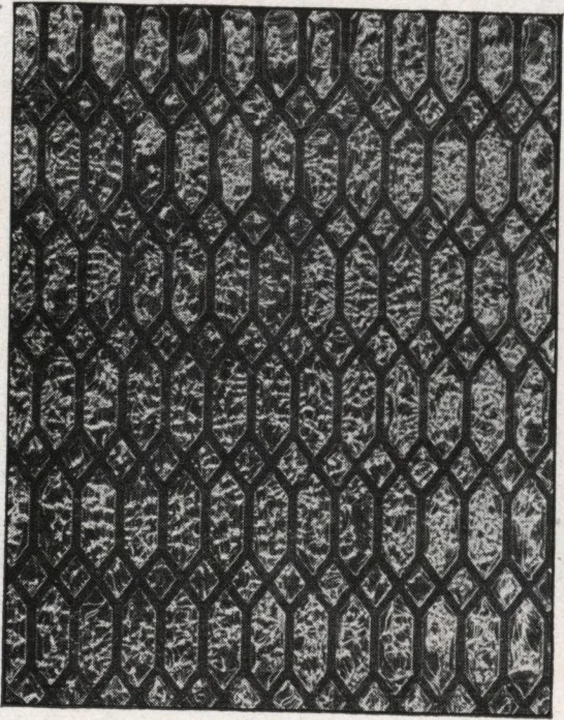 An illustration from General catalog 1911-1912, 1912, leaf 395