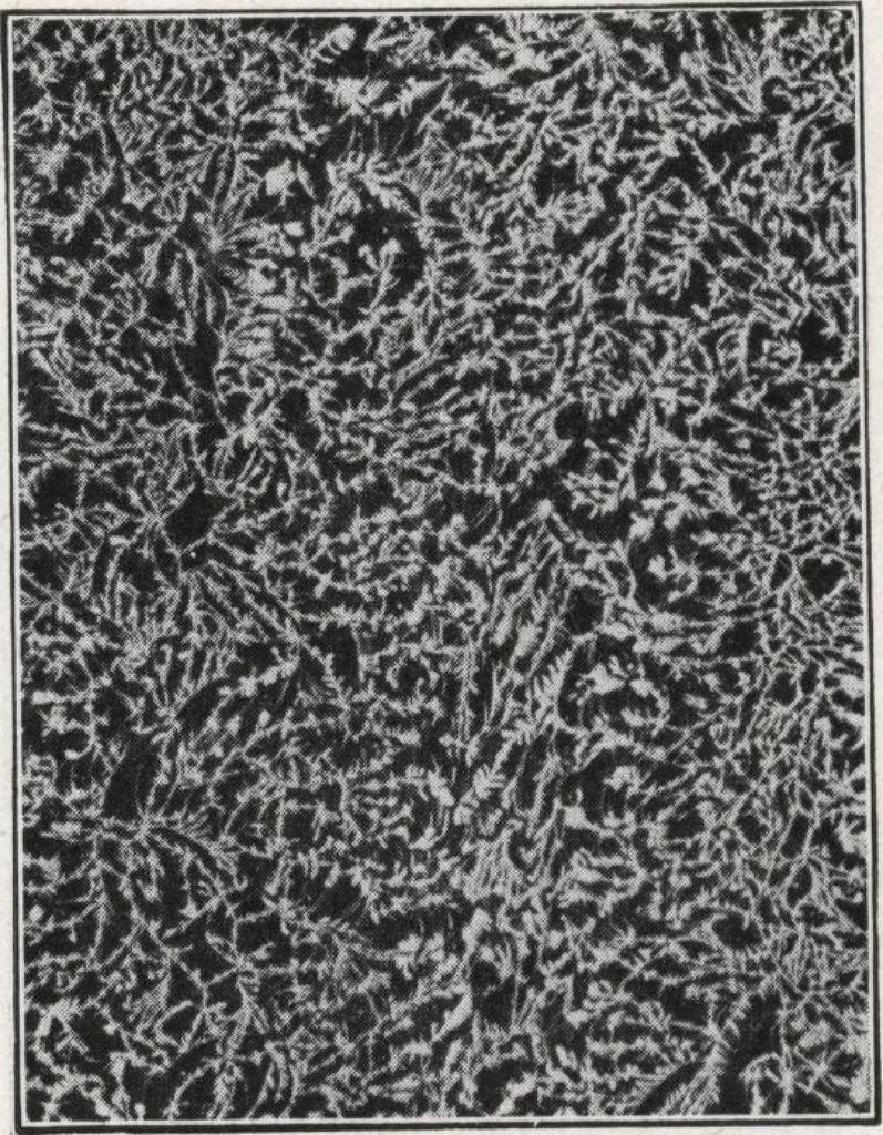 An illustration from General catalog 1911-1912, 1912, leaf 397