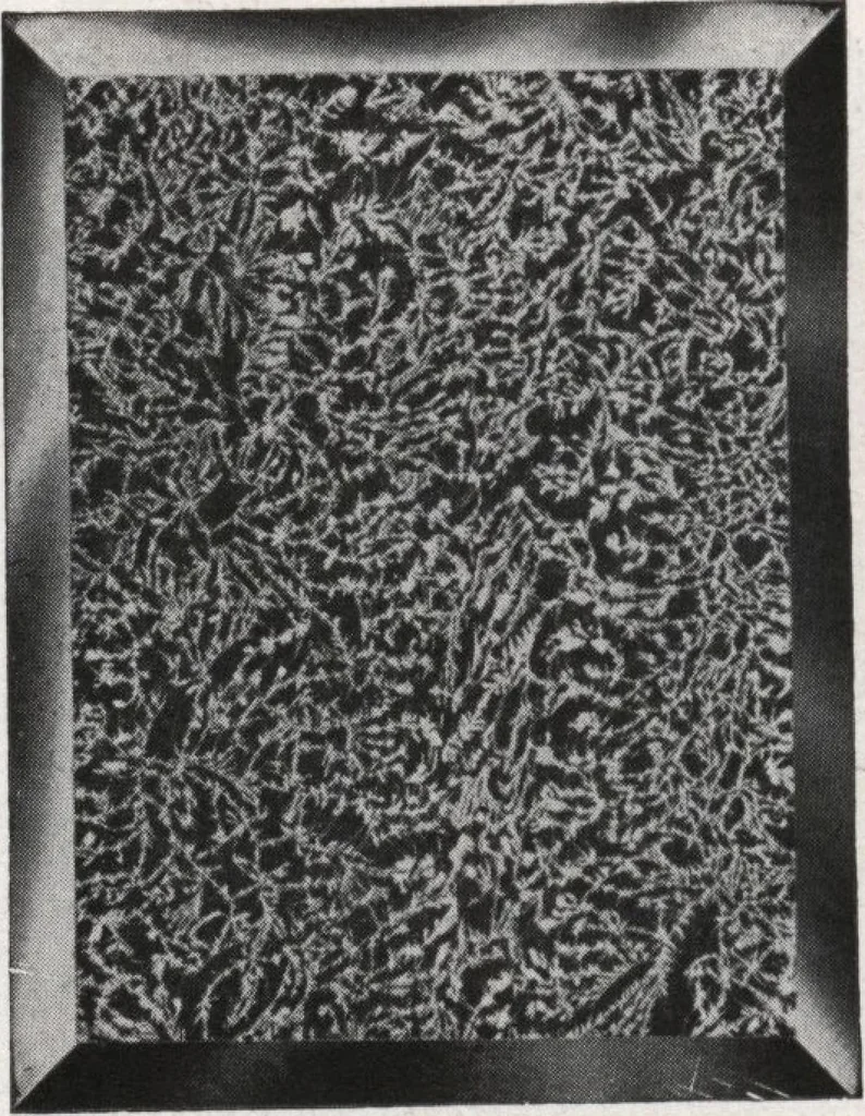 An illustration from General catalog 1911-1912, 1912, leaf 397