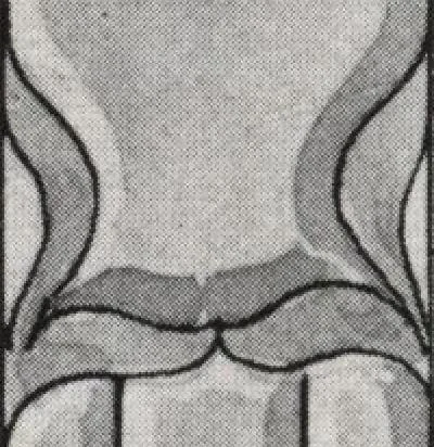 An illustration from General catalog 1911-1912, 1912, leaf 419