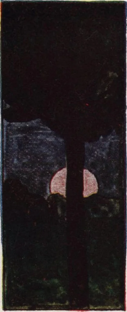 An illustration from General catalog 1911-1912, 1912, leaf 436