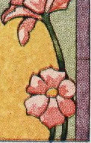 An illustration from General catalog 1911-1912, 1912, leaf 455