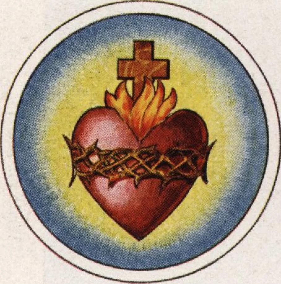 An illustration from General catalog 1911-1912, 1912, leaf 459